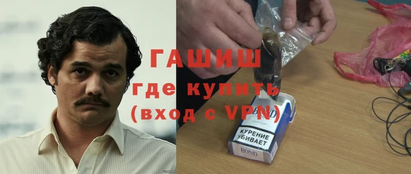 индика Алексин