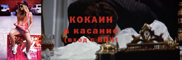 индика Алексин