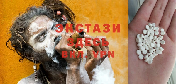 индика Алексин