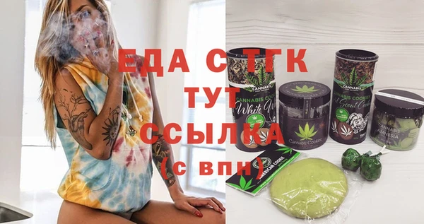 индика Алексин