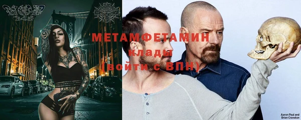 индика Алексин