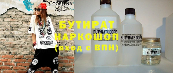 индика Алексин