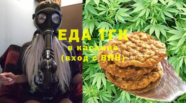 индика Алексин