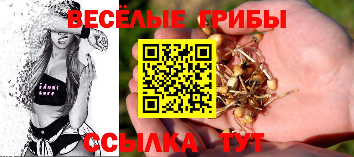 Галлюциногенные грибы Magic Shrooms Нягань