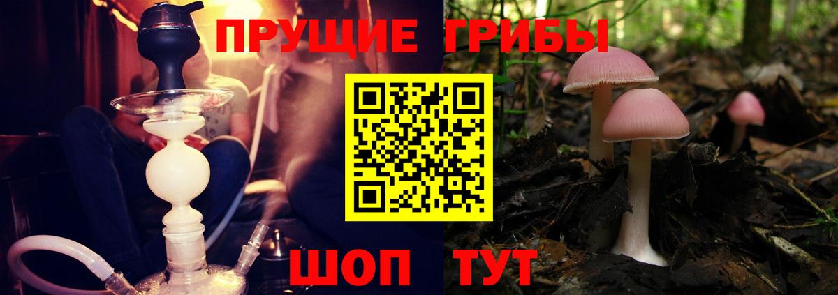 Нягань  Псилоцибиновые грибы ЛСД  Вход с VPN  Псилоцибиновые грибы мухоморы 